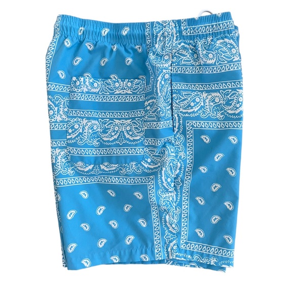 SHEIN UNLINED SWIM TRUNKS Size Large Blue and White Print - Picture 5 of 9